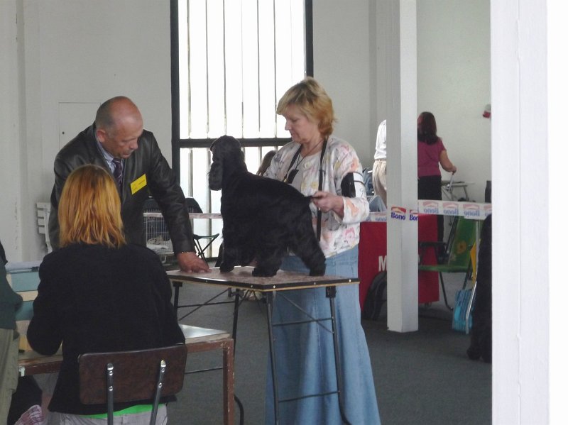 Litomerice 2009 022.jpg